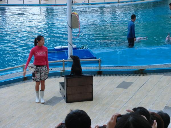 シンガポール水族館のショー