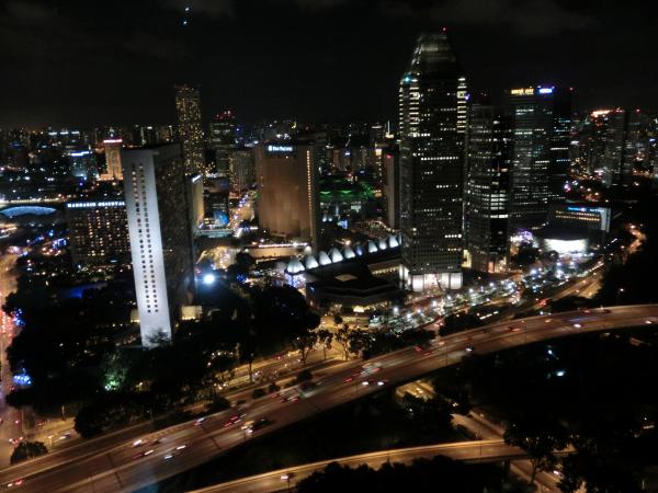 シンガポール・フライヤーからの夜景